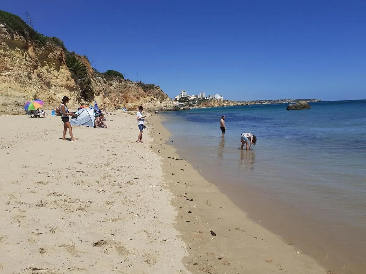 Vp Flat With Balcony And Pool View Apartment Alvor